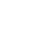 Hire Magento Developer