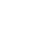 Hire WordPress Developer